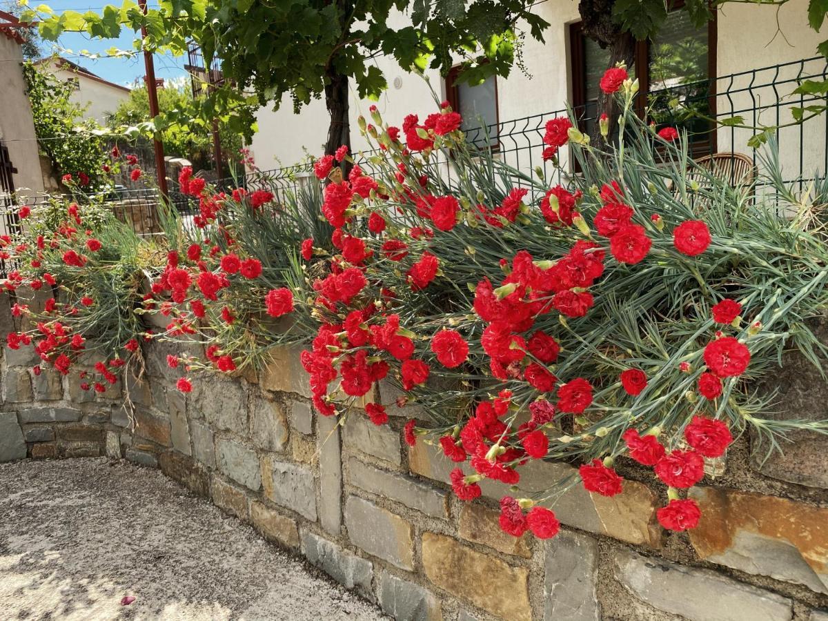 Apartment Gregoric Izola Luaran gambar
