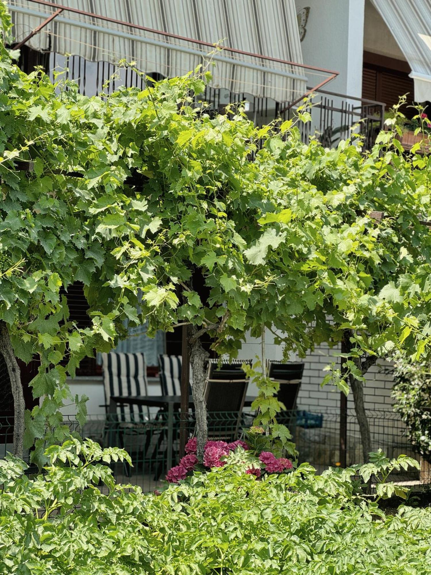 Apartment Gregoric Izola Luaran gambar